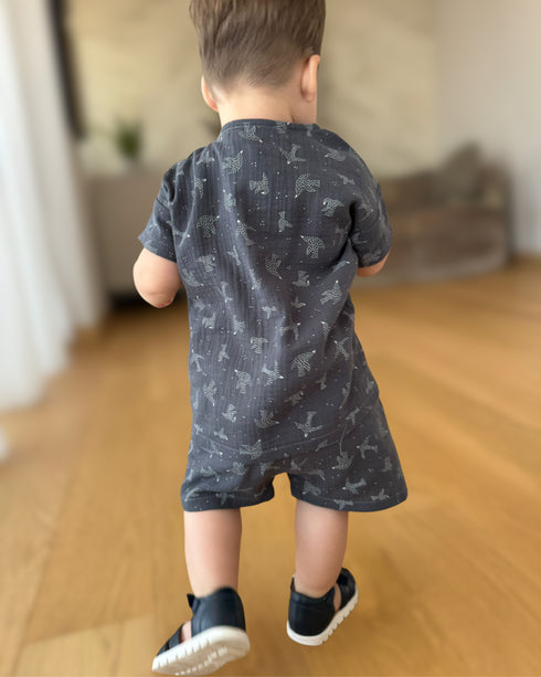 Compleu din muselina cu pasari