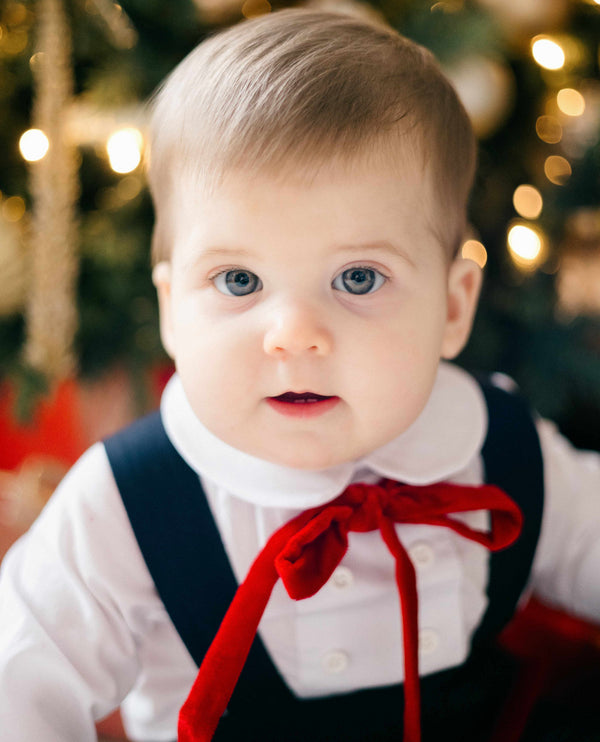 Panglica/papion din catifea rosie