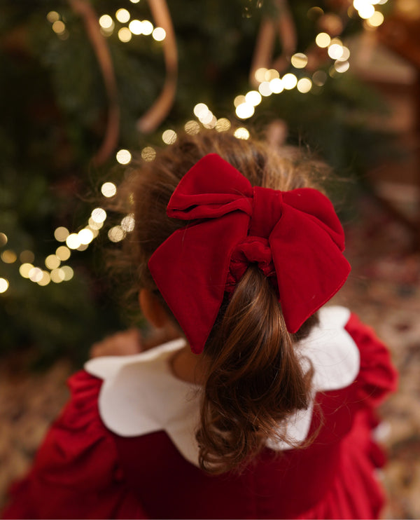 Funda de par din catifea rosie cu elastic