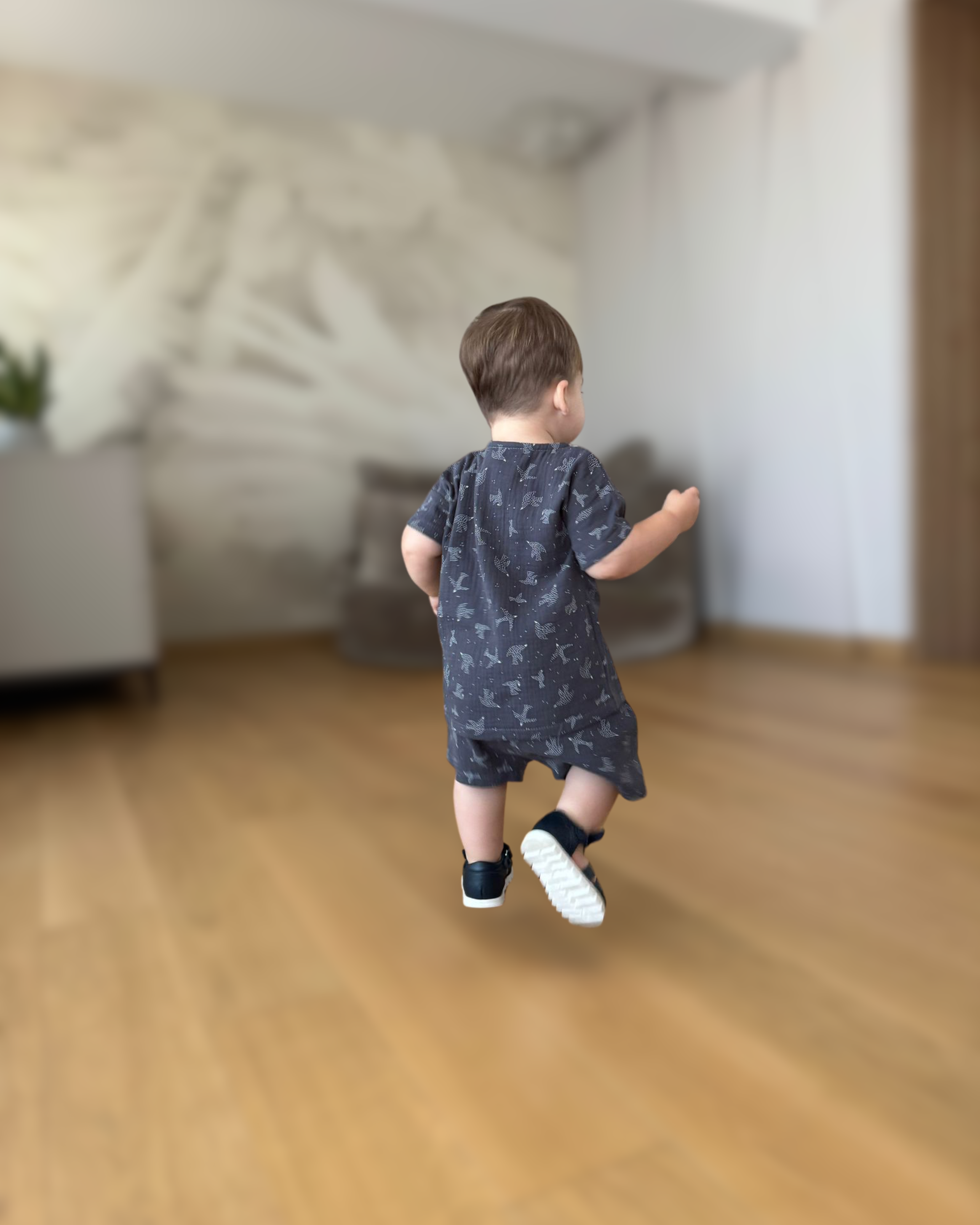 Compleu din muselina cu pasari